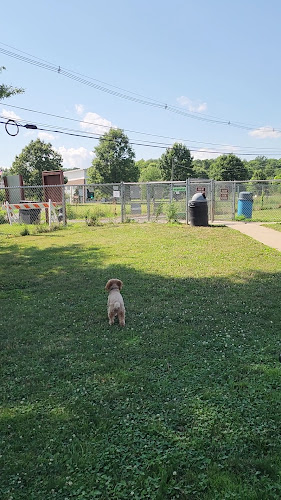 The Hunterdon County Off-Leash Dog Area