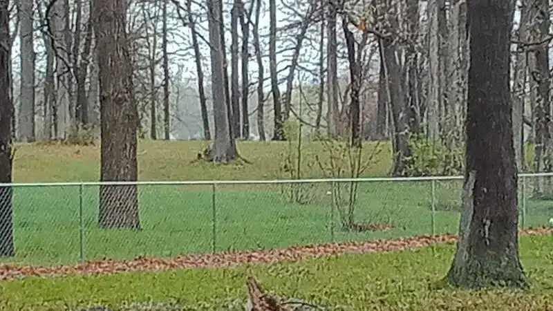 Bassett Park - Flint, MI