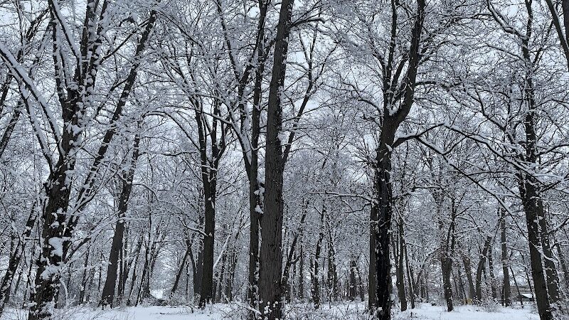 Bassett Park - Flint, MI