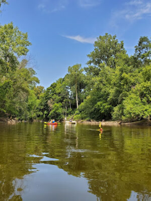 Mott Park Recreation Area
