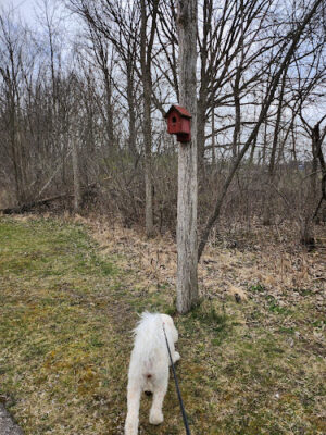 Mundy Miracle Commons Trail