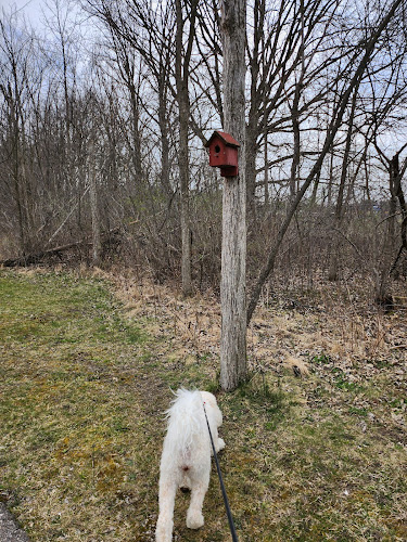 Mundy Miracle Commons Trail