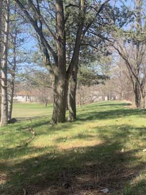 Rollingwood Park