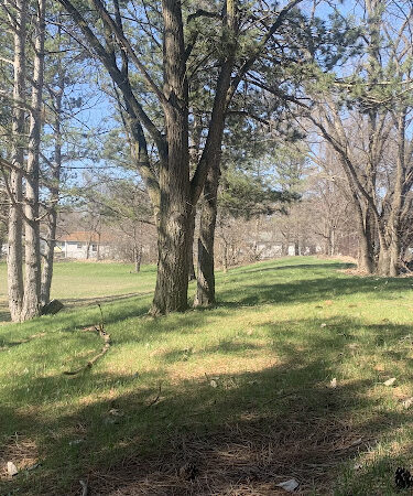 Rollingwood Park