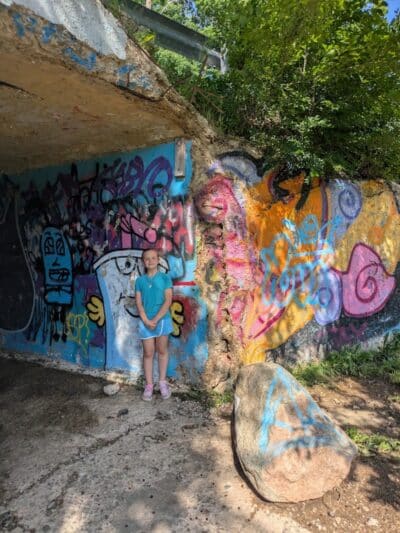 Mott Park - Flint, MI