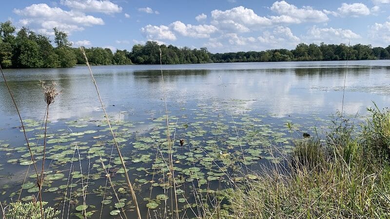 Thread Lake Park - Flint, MI