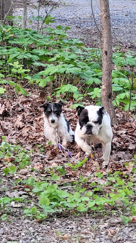 Twin Oaks Trail