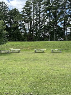 Mulberry Creek Dog Park - Flowery Branch, GA