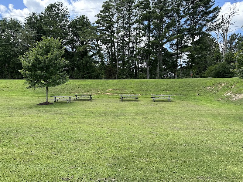 Mulberry Creek Dog Park - Flowery Branch, GA
