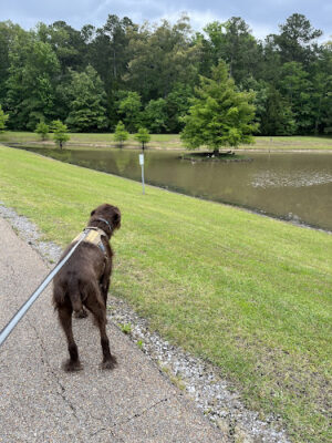 Flowood Nature Park