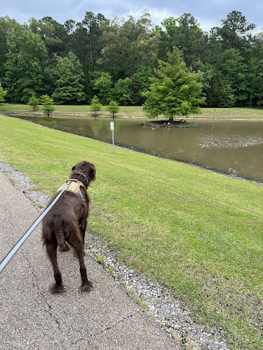 Flowood Nature Park