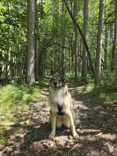 Flushing County Park - Flushing, MI