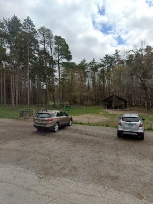 Flushing County Park - Dog Park
