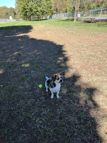 Route 100 Off-Leash Dog Park