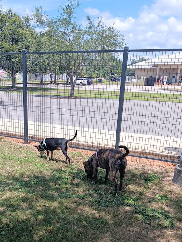 Foley Dog Park
