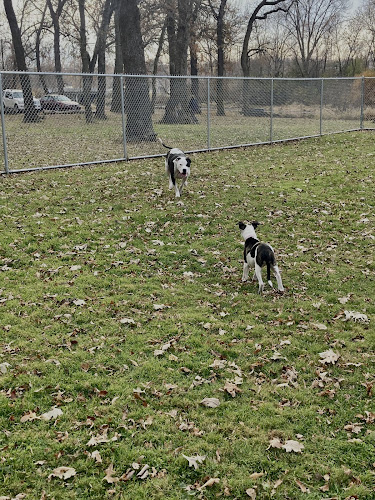 Forest City Dog Park