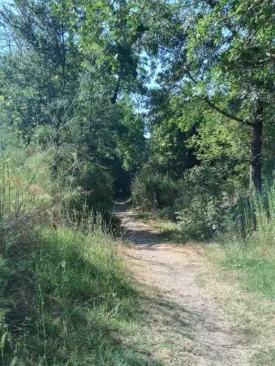 Sunset Beach River Park - Forestville, CA