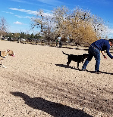 Spring Canyon Dog Park