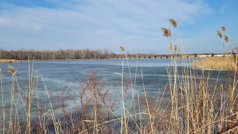 Fort Gratiot Canine Commons - Fort Gratiot Township, MI