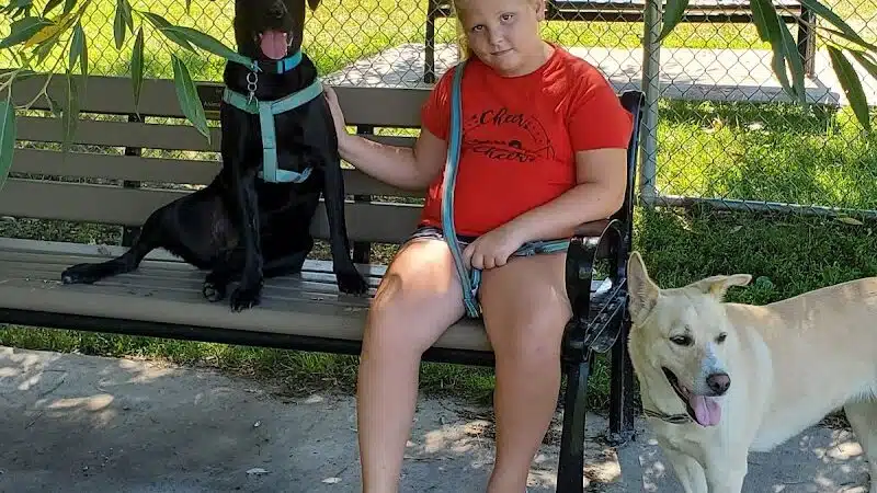Fort Gratiot Canine Commons - Fort Gratiot Township, MI