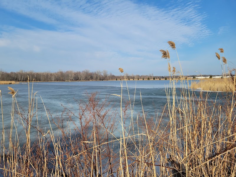 Fort Gratiot Canine Commons - Fort Gratiot Township, MI