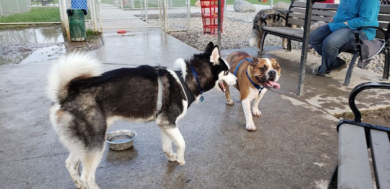 Fort Gratiot Canine Commons - Fort Gratiot Township, MI