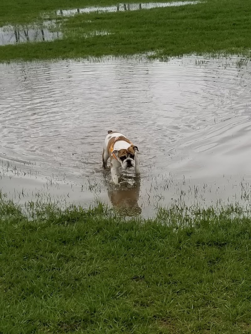 Fort Gratiot Canine Commons - Fort Gratiot Township, MI