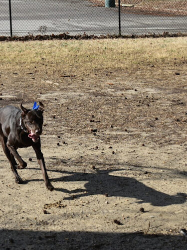 Fort Gregg-Adams Dog Park