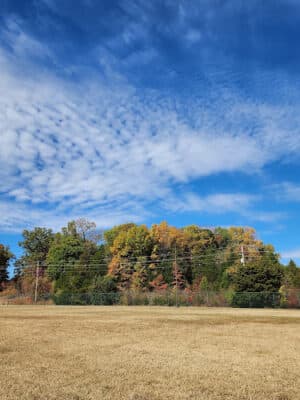 Fort Knox Dog Park