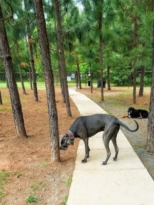 Mary Warner Mack Dog Park (private)
