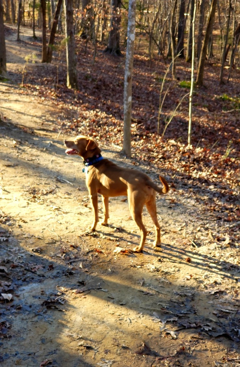 Mary Warner Mack Dog Park (private) - Fort Mill, SC
