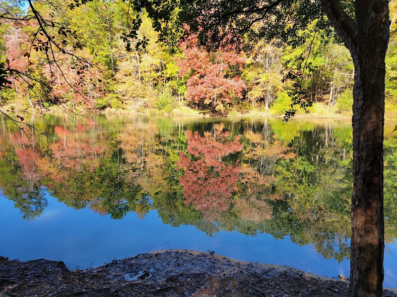 Mary Warner Mack Dog Park (private) - Fort Mill, SC