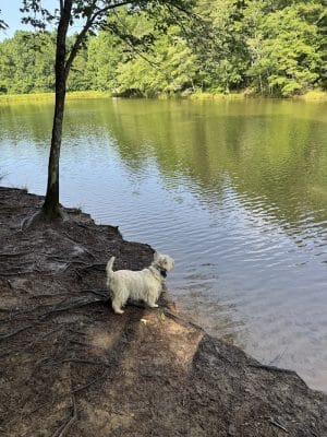 Mary Warner Mack Dog Park (private)