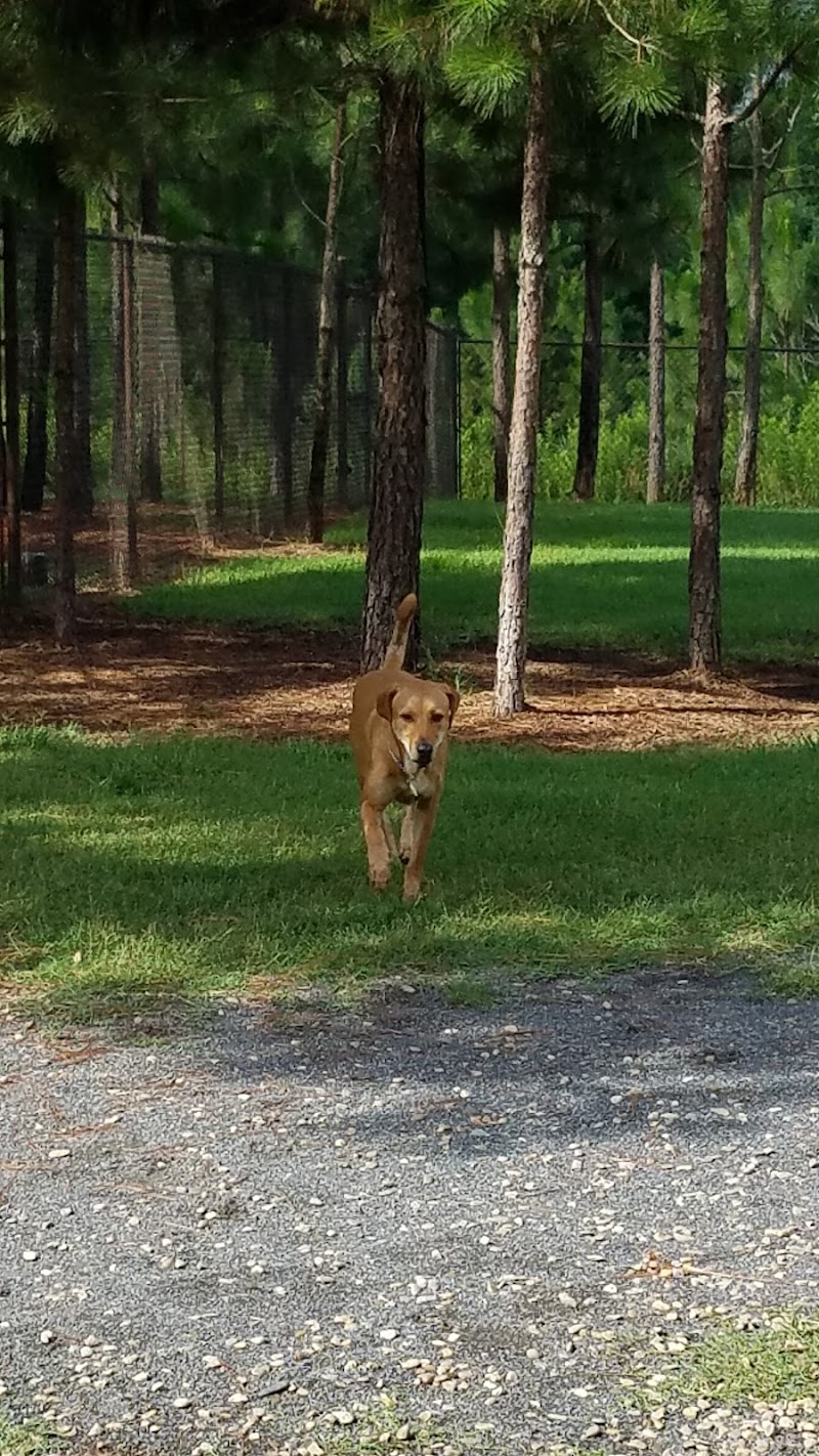 Mary Warner Mack Dog Park (private) - Fort Mill, SC