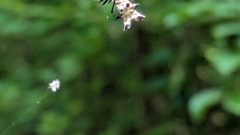 Makamah Nature Preserve - Fort Salonga, NY