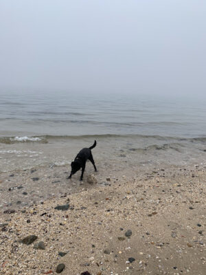 Geisslers Beach Park