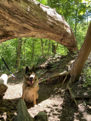Makamah Nature Preserve