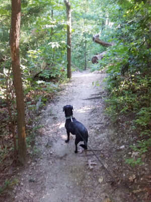 Meadowlark Park