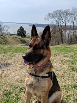 Fort Washington Park