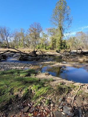 Henson Creek Trailhead