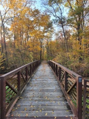 Henson Creek Trailhead