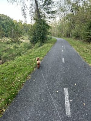 Henson Creek Trailhead