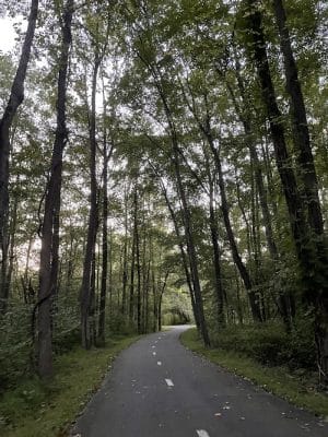 Henson Creek Trailhead