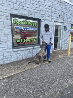 iSpeakDogg