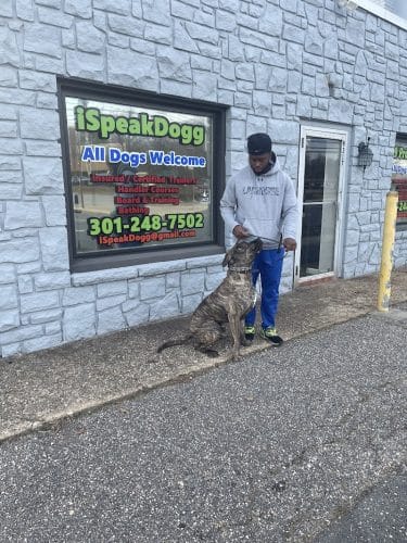 iSpeakDogg