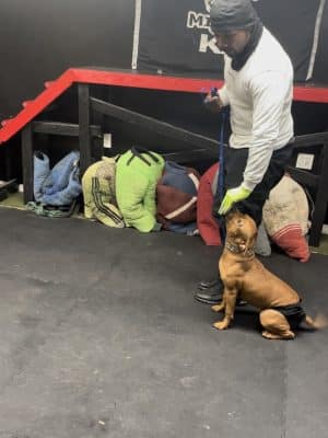 iSpeakDogg