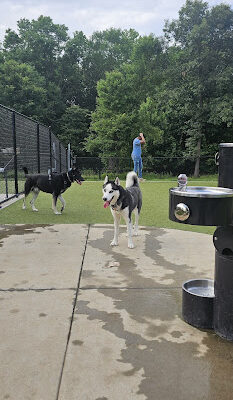 Southern Area Dog Park at Riverview Park