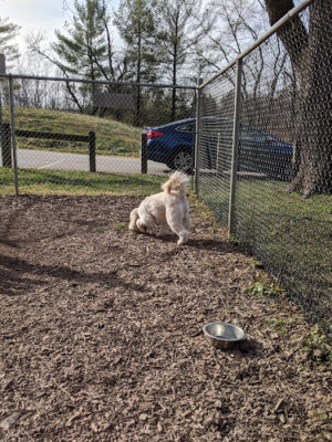 MonDaug Bark Park