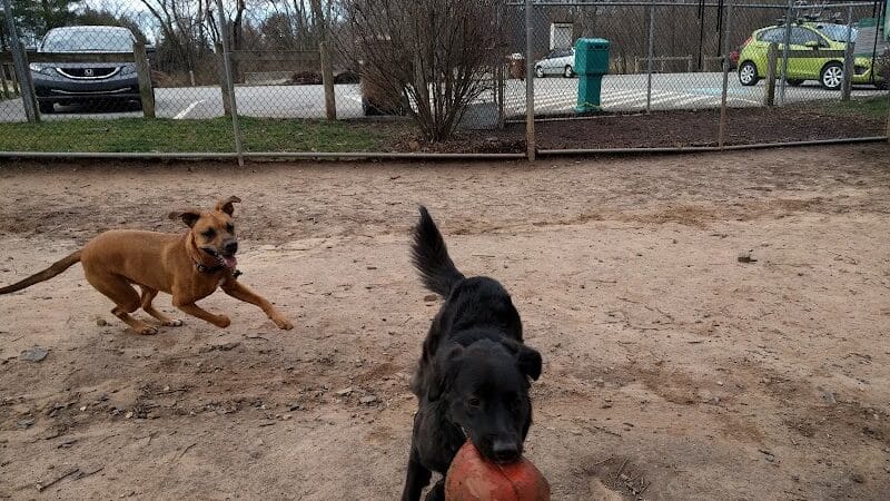 MonDaug Bark Park - Fort Washington,