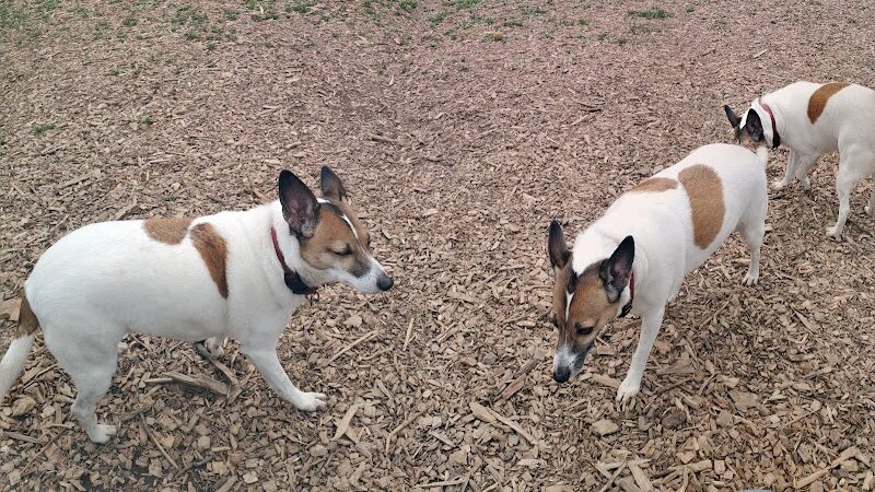 MonDaug Bark Park - Fort Washington,